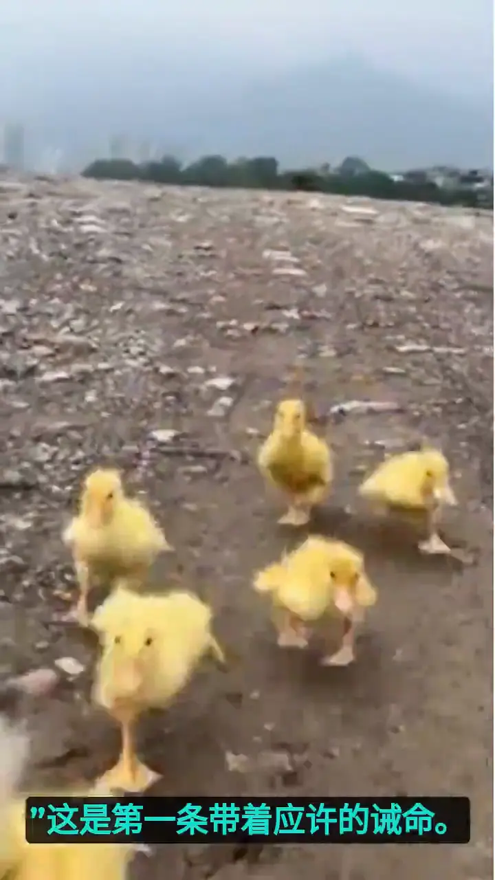 一问一思